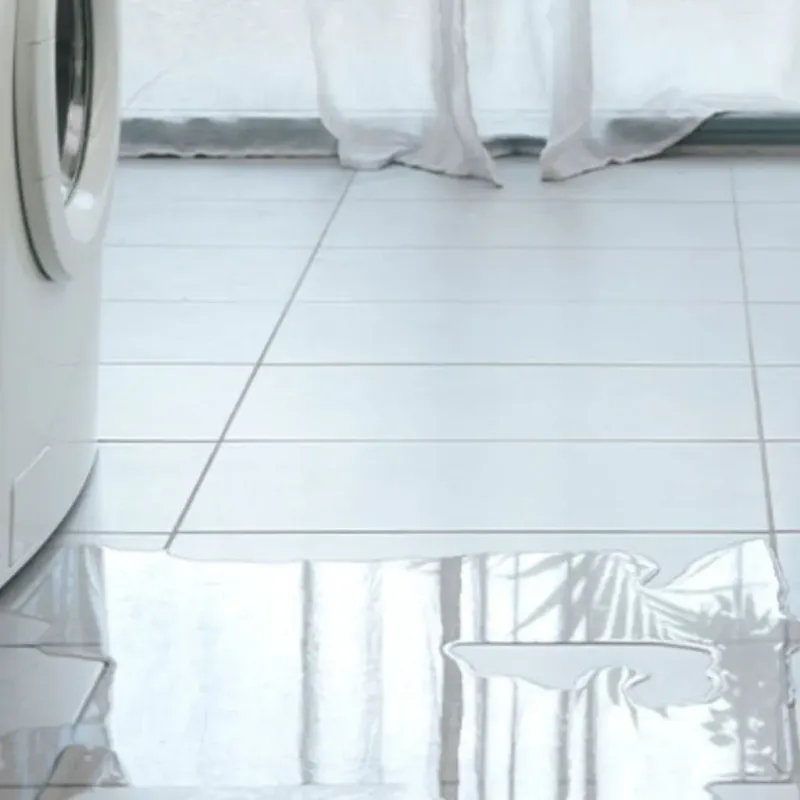 Appliance Leak Cleanup in Blue Ridge, GA