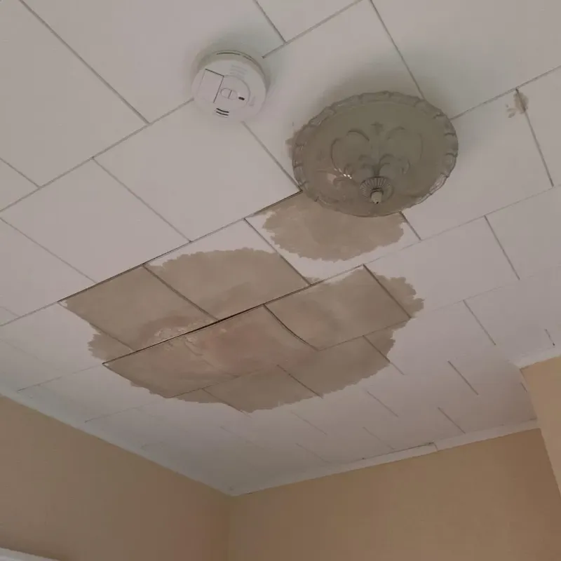 Ceiling Water Damage Repair in Blue Ridge, GA
